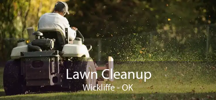 Lawn Cleanup Wickliffe - OK