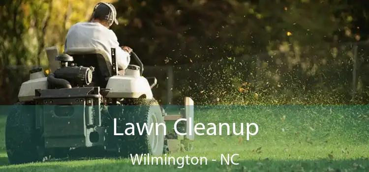 Lawn Cleanup Wilmington - NC