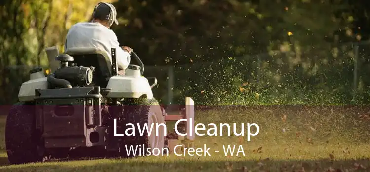 Lawn Cleanup Wilson Creek - WA