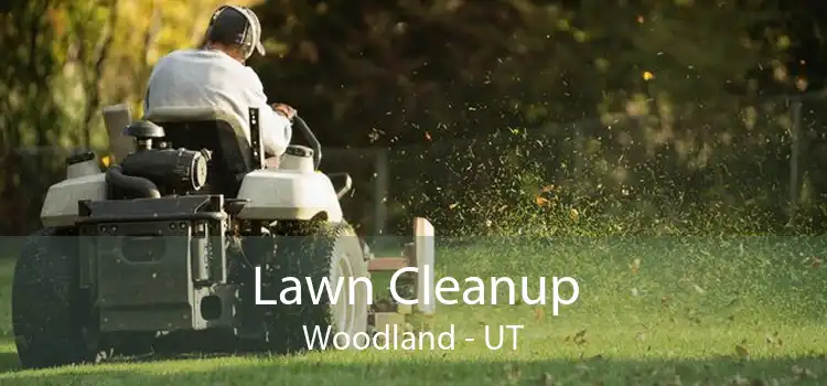 Lawn Cleanup Woodland - UT