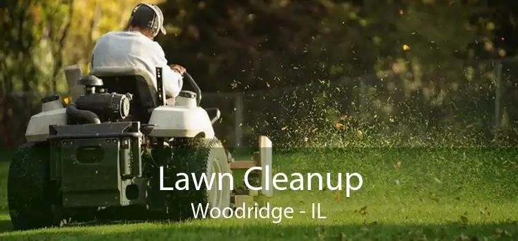 Lawn Cleanup Woodridge - IL