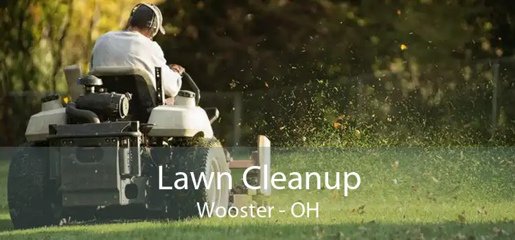 Lawn Cleanup Wooster - OH