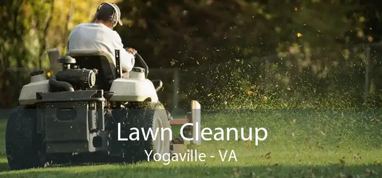 Lawn Cleanup Yogaville - VA
