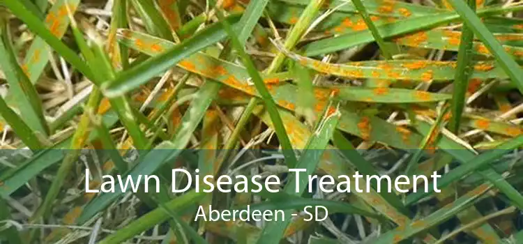 Lawn Disease Treatment Aberdeen - SD