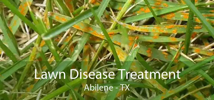 Lawn Disease Treatment Abilene - TX