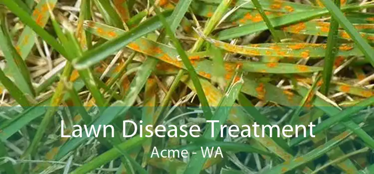 Lawn Disease Treatment Acme - WA