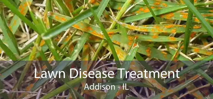 Lawn Disease Treatment Addison - IL