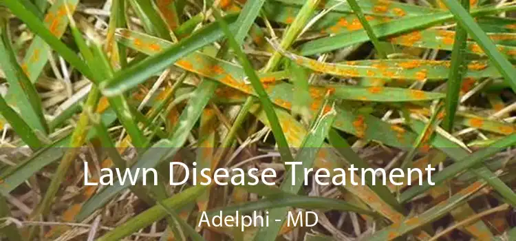 Lawn Disease Treatment Adelphi - MD