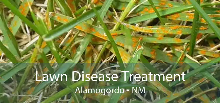 Lawn Disease Treatment Alamogordo - NM