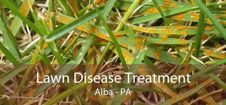 Lawn Disease Treatment Alba - PA