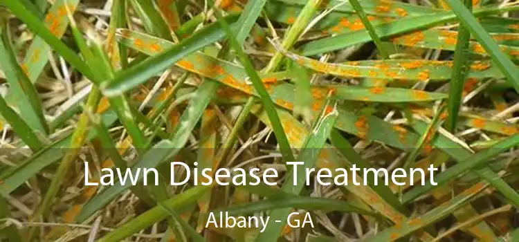  Lawn Disease Treatment Albany - GA