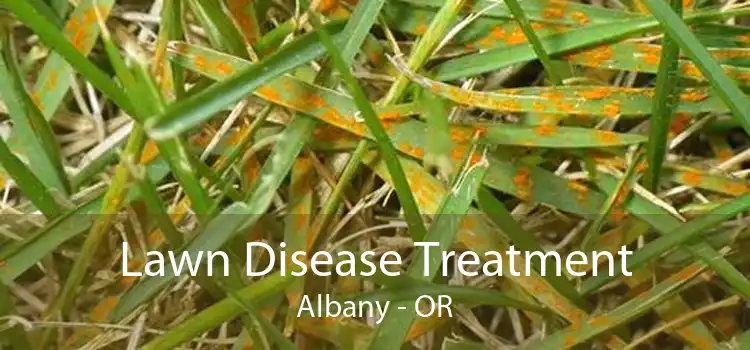 Lawn Disease Treatment Albany - OR