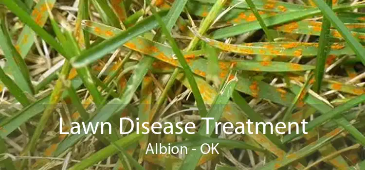 Lawn Disease Treatment Albion - OK