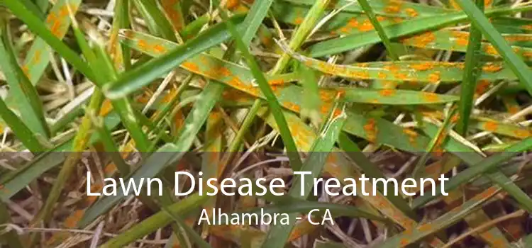 Lawn Disease Treatment Alhambra - CA