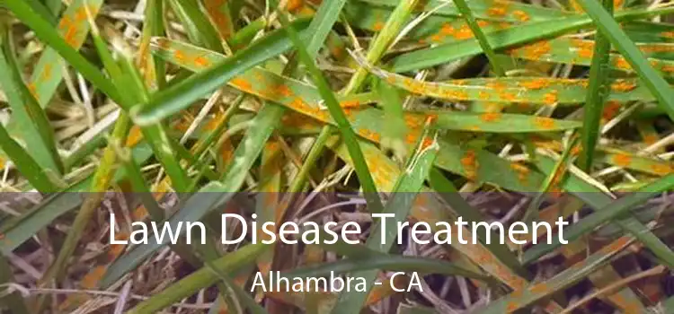  Lawn Disease Treatment Alhambra - CA