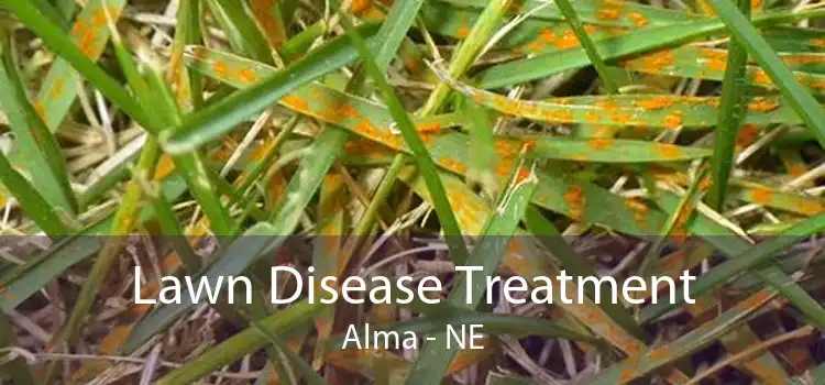 Lawn Disease Treatment Alma - NE