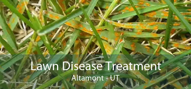 Lawn Disease Treatment Altamont - UT
