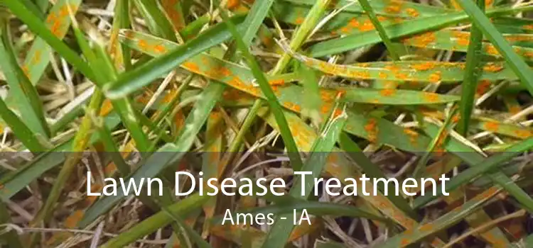 Lawn Disease Treatment Ames - IA