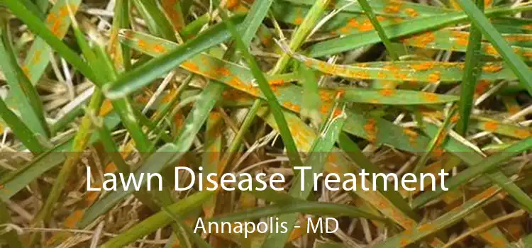 Lawn Disease Treatment Annapolis - MD