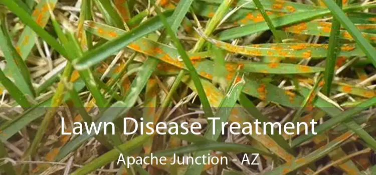  Lawn Disease Treatment Apache Junction - AZ