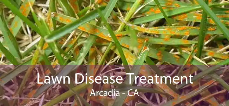 Lawn Disease Treatment Arcadia - CA