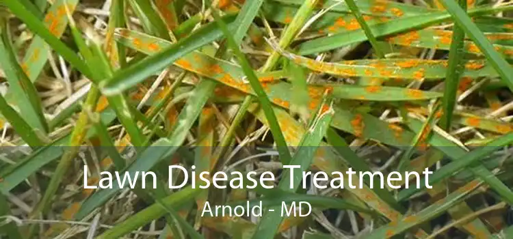Lawn Disease Treatment Arnold - MD