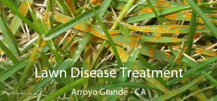 Lawn Disease Treatment Arroyo Grande - CA