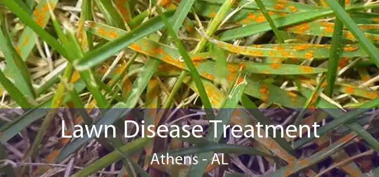 Lawn Disease Treatment Athens - AL