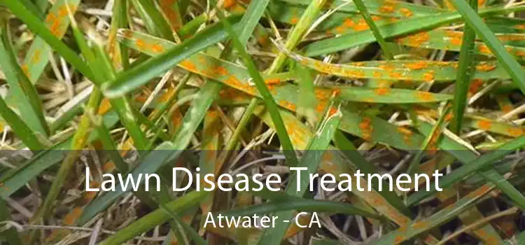 Lawn Disease Treatment Atwater - CA