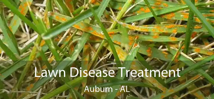  Lawn Disease Treatment Auburn - AL