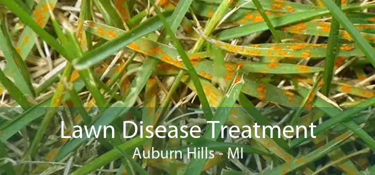 Lawn Disease Treatment Auburn Hills - MI