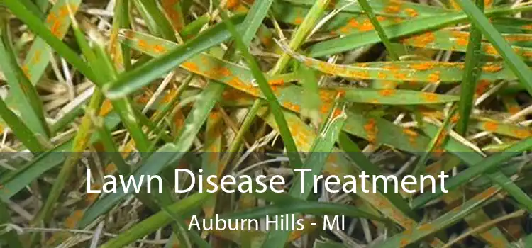 Lawn Disease Treatment Auburn Hills - MI