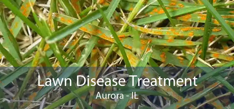 Lawn Disease Treatment Aurora - IL
