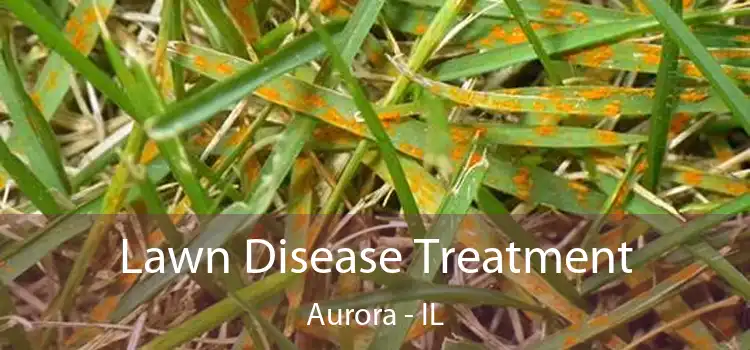 Lawn Disease Treatment Aurora - IL