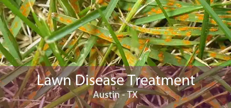 Lawn Disease Treatment Austin - TX