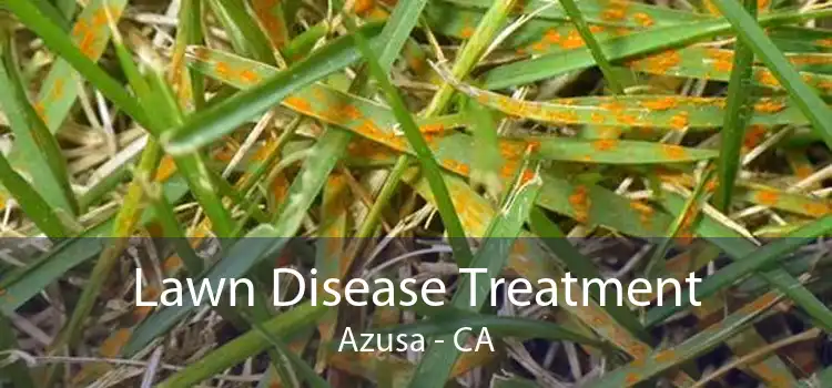 Lawn Disease Treatment Azusa - CA