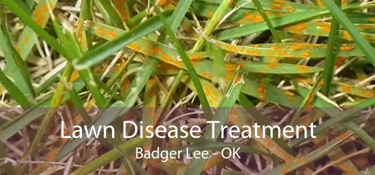 Lawn Disease Treatment Badger Lee - OK