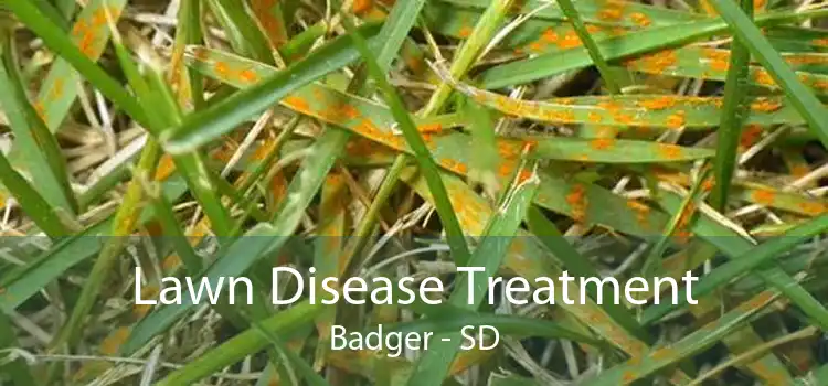 Lawn Disease Treatment Badger - SD