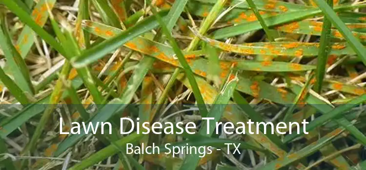 Lawn Disease Treatment Balch Springs - TX