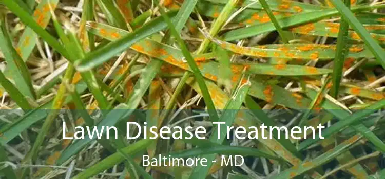 Lawn Disease Treatment Baltimore - MD