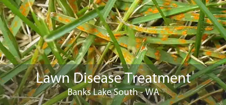 Lawn Disease Treatment Banks Lake South - WA