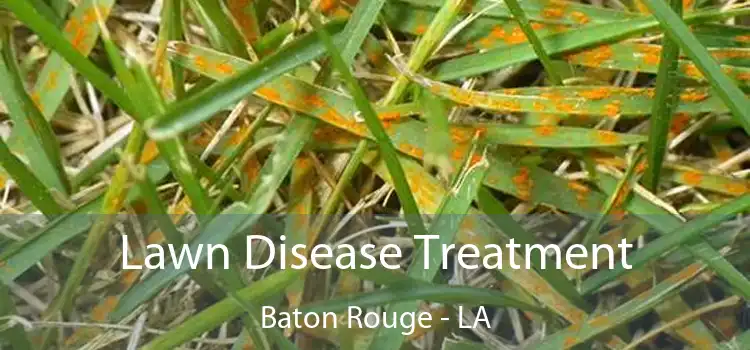 Lawn Disease Treatment Baton Rouge - LA