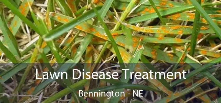 Lawn Disease Treatment Bennington - NE
