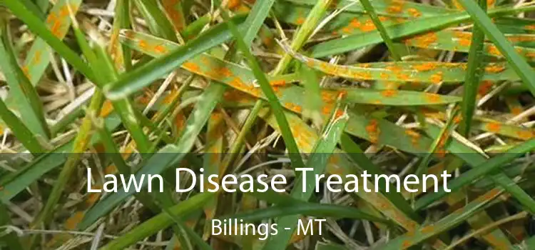 Lawn Disease Treatment Billings - MT