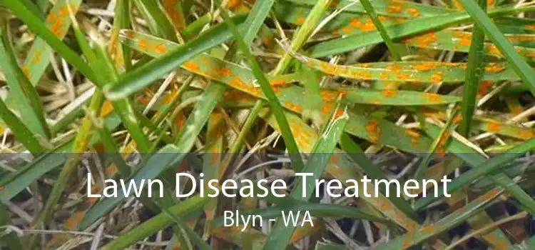 Lawn Disease Treatment Blyn - WA