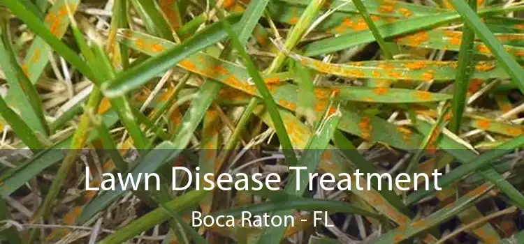 Lawn Disease Treatment Boca Raton - FL