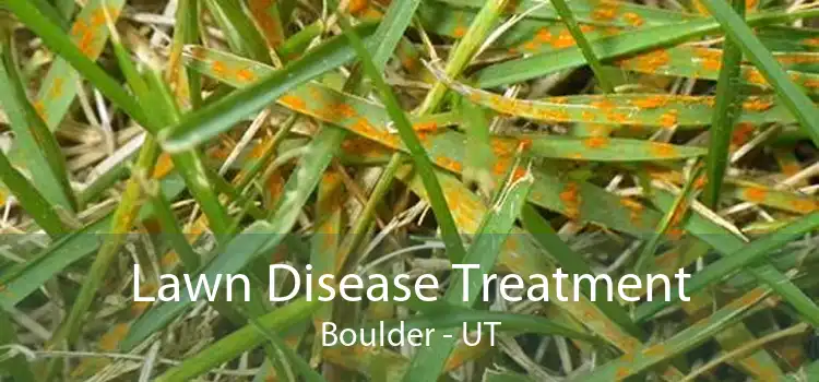 Lawn Disease Treatment Boulder - UT