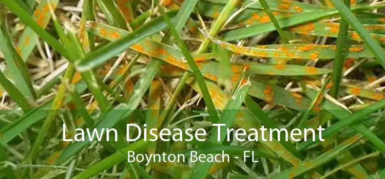 Lawn Disease Treatment Boynton Beach - FL