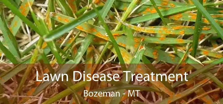 Lawn Disease Treatment Bozeman - MT