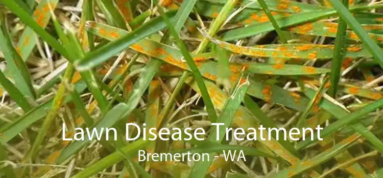 Lawn Disease Treatment Bremerton - WA